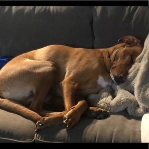 Meet your Posher, Gianni